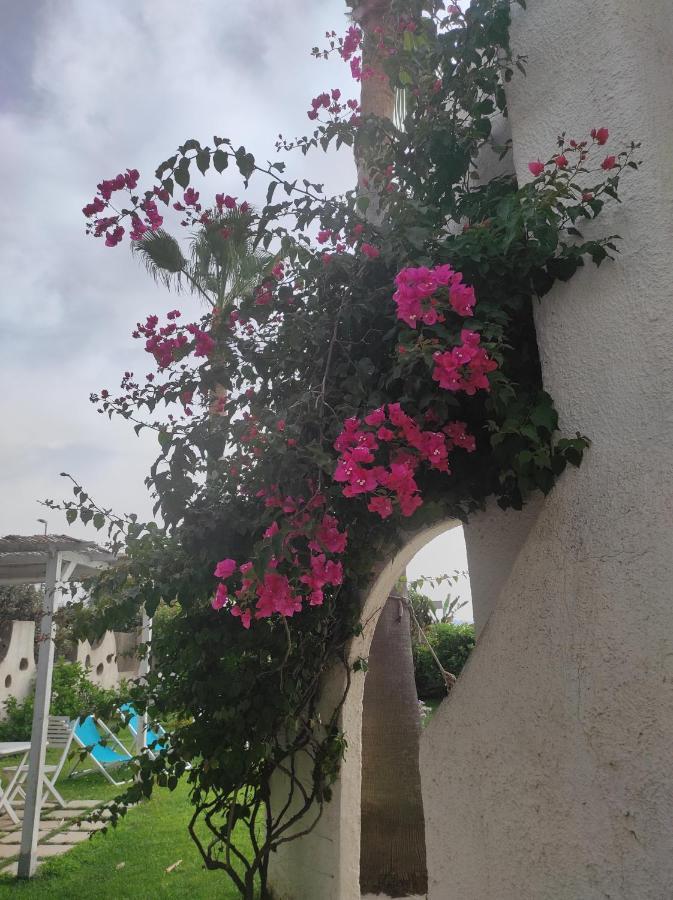 La Casa Di Nina Frühstückspension La Maddalena (Cagliari)