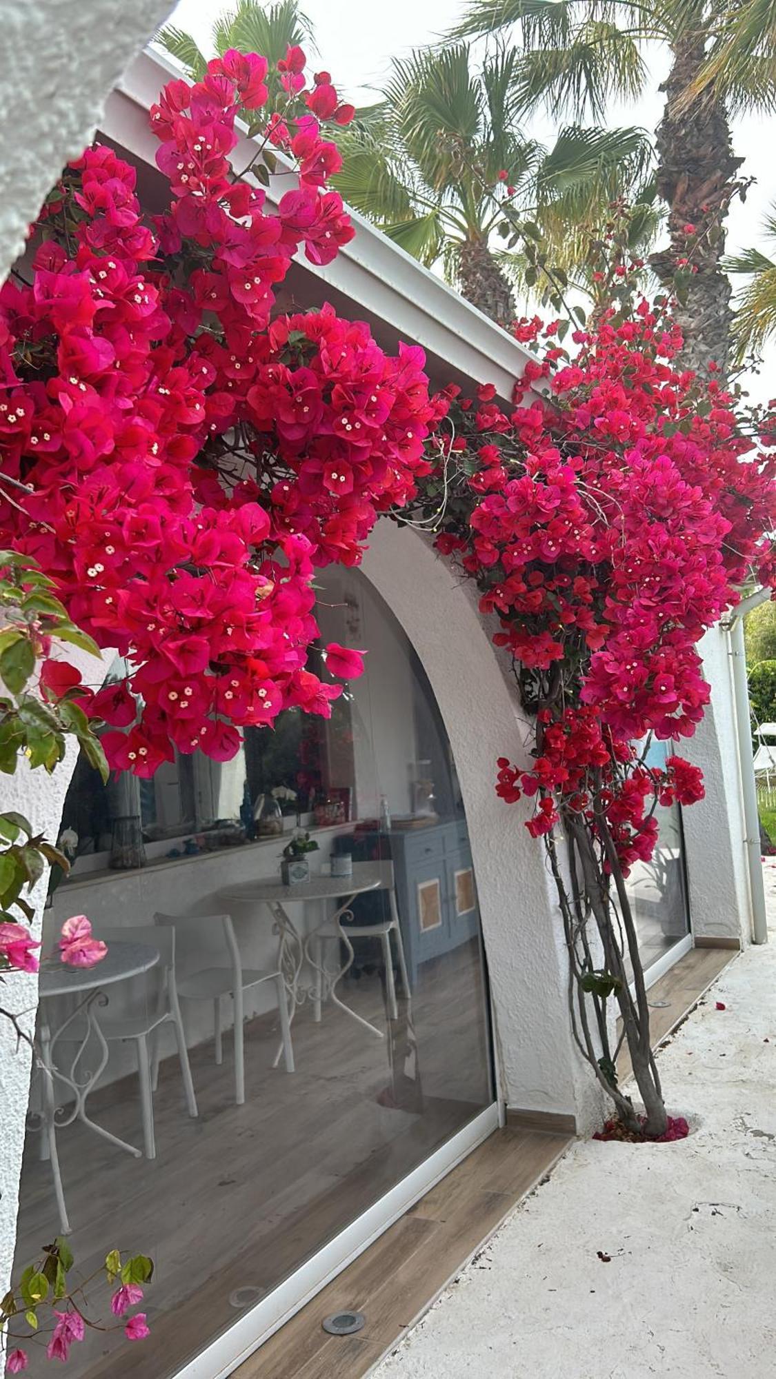 La Casa Di Nina *